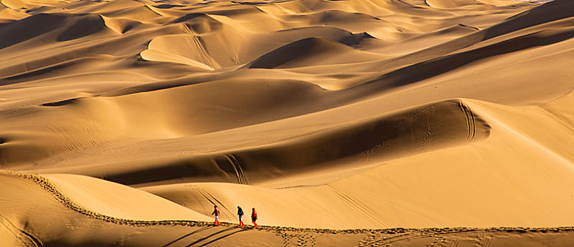 沙漠漫步