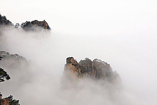 黄山猴子观海