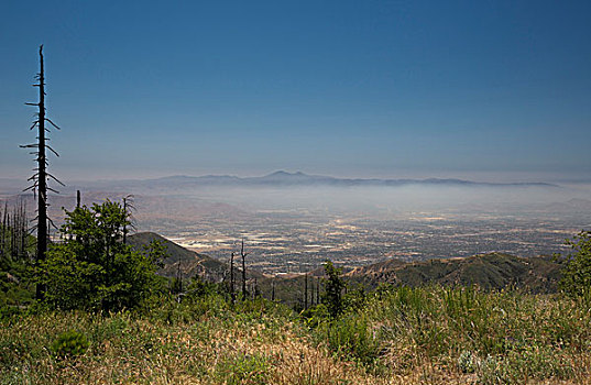 空气,污染,山谷,东方,市区,风景,山峦,洛杉矶,加利福尼亚,美国