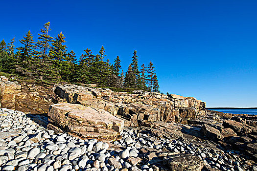 海边风景,半岛,阿卡迪亚国家公园