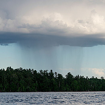 树,湖岸,积雨云,空中,湖,木头,安大略省,加拿大