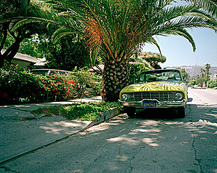 美洲,老爷车,棕榈树