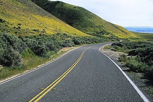 公路,加利福尼亚,美国
