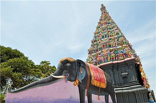 大象,雕塑,岛屿,印度教,庙宇,斯里兰卡