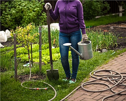 女人,拿着,铲,洒水壶,花园