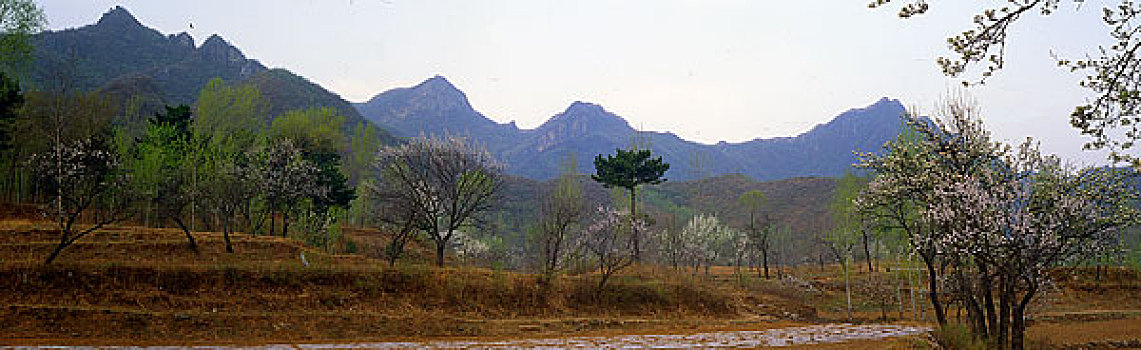 箭扣长城北山鹰飞倒仰