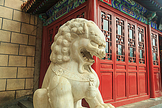 狮子,雕塑,茶,店,靠近,购物,区域,南方,中心,北京,中国