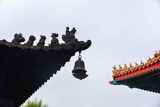 天津市滨海新区潮音寺风光