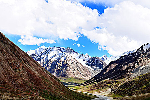 塔县,帕米尔高原,新疆,雪山,草原