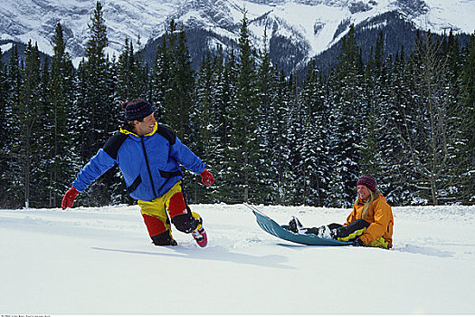 伴侣,玩,雪中,幽鹤国家公园,不列颠哥伦比亚省,加拿大