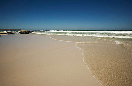 海滩,开普敦,南非