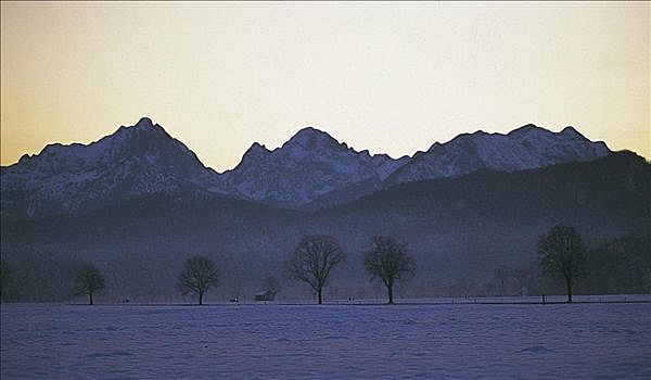 晨光,上方,雪景,山峦,冬天,寒冷,南方,巴伐利亚,德国,欧洲