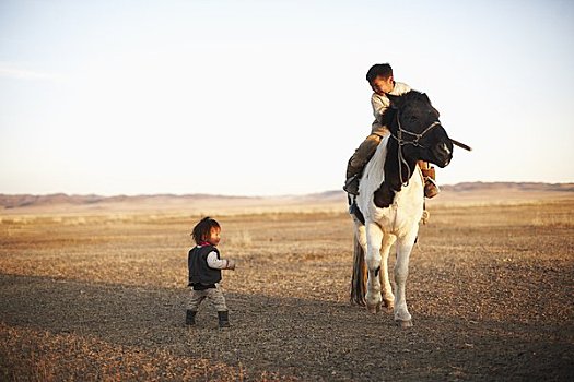 孩子,地点,马,国家公园,蒙古