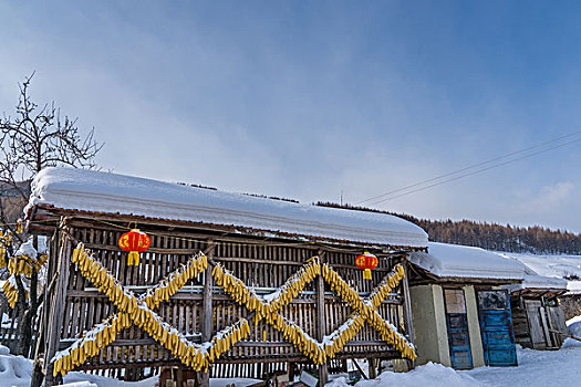 雪地,树林,村庄,雪村