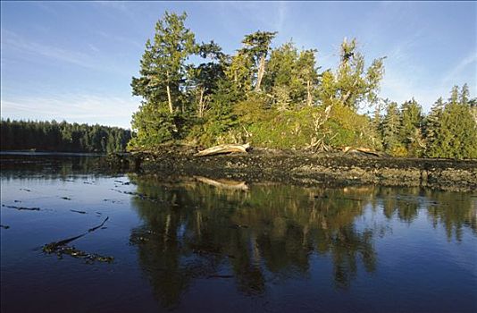 格里夸湾,温哥华岛,不列颠哥伦比亚省,加拿大