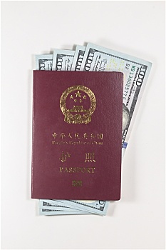 护照,美元,美金
