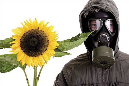 象征,环保,男青年,防毒面具,向日葵