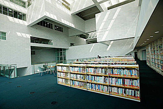 天津文化中心,天津图书馆