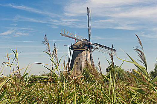风车,世界遗产,小孩堤防风车村,荷兰,欧洲