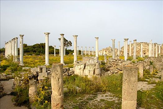 古老,柱子,体育馆,遗迹,意大利腊肠,塞浦路斯北部