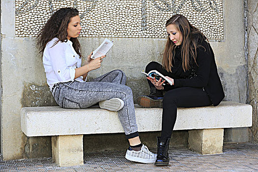 两个,女朋友,青少年,坐,石头,长椅,读书,曼顿,阿尔卑斯滨海省,普罗旺斯,法国,欧洲
