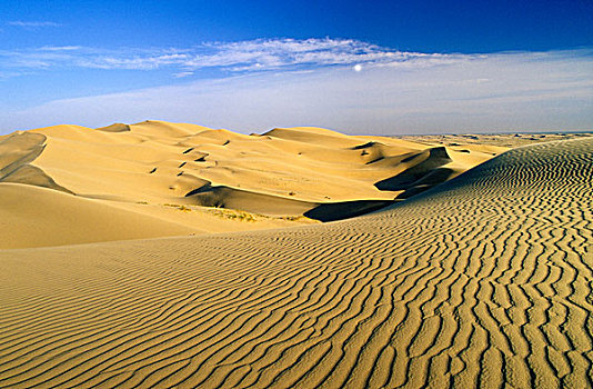 索诺拉沙漠,加利福尼亚,美国