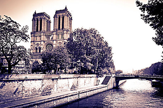 圣母大教堂,赛纳河,河,巴黎,法国