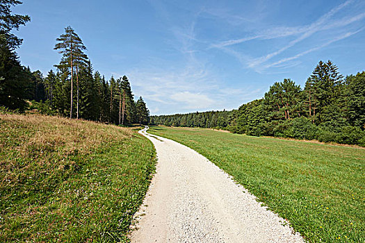风景,小路,树林,草地,夏末,普拉蒂纳特,巴伐利亚,德国
