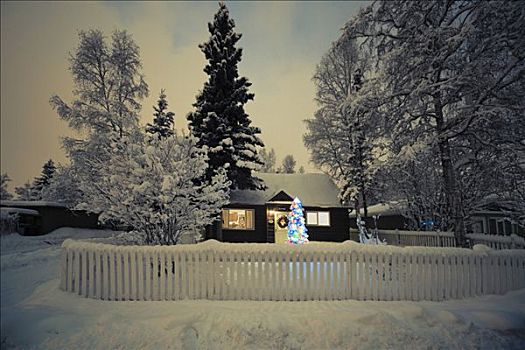 家,积雪,照亮,圣诞树,院子,阿拉斯加