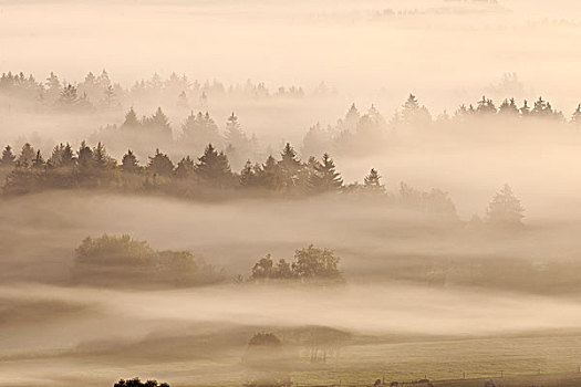 晨雾,坏,上巴伐利亚,巴伐利亚,德国
