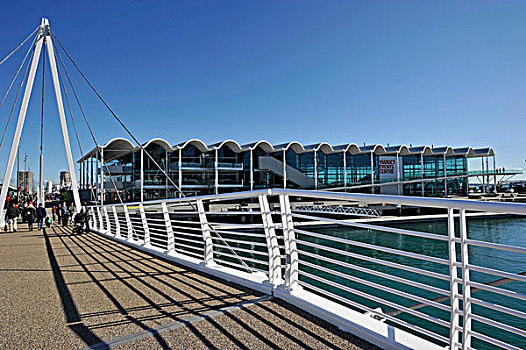 高架桥,活动,中心,水岸,奥克兰,北岛,新西兰