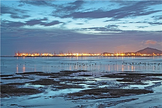 日落,香港,海岸,黄昏