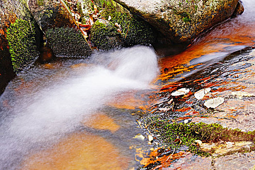 瀑布,红叶,山泉,流水