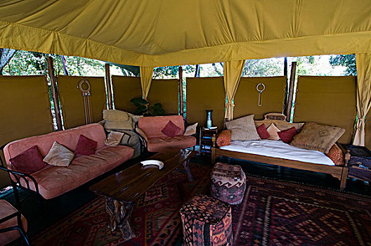 胡椒,露营,马赛马拉国家保护区,肯尼亚,非洲