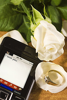 特写,短信,玫瑰,订婚戒指