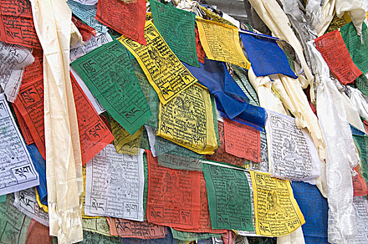 彩色,祈祷,旗帜,排列,查谟-克什米尔邦,印度