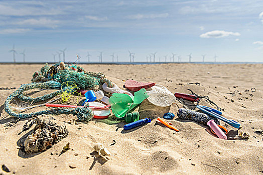 塑料制品,污染,收集,海滩,东北方,英格兰,英国