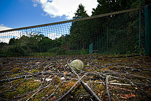 废弃,网球,球场,细枝,球,空,房子,边缘,柴郡,英国