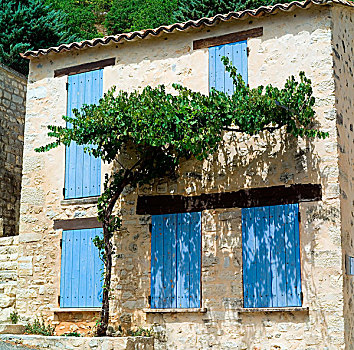 房子,蓝色,百叶窗,葡萄园,乡村,普罗旺斯,法国