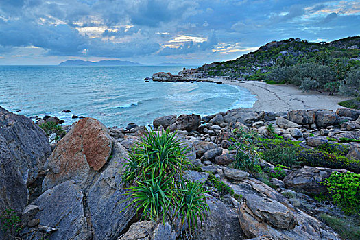 沙滩,花冈岩,石头,马掌,湾,昆士兰,澳大利亚