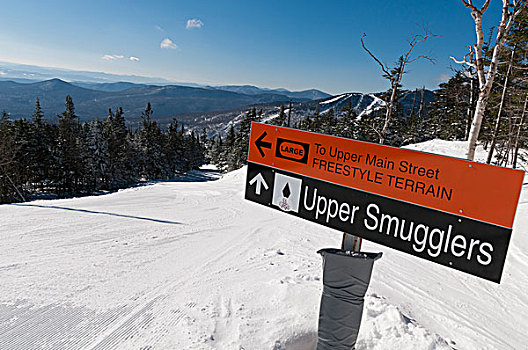 滑雪道,标识,云杉,顶峰,佛蒙特州,美国