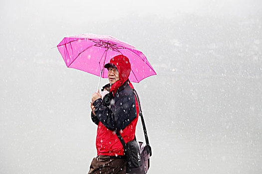 杭州,西湖,断桥,游客,赏雪,水墨画,朦胧,仙境,冬天,打伞,伞
