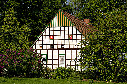 半木结构,房子,陆地,区域,下萨克森,德国,欧洲