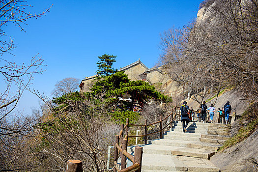 华山春日盛景