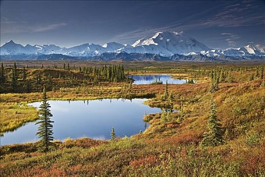 景色,苔原,水塘,秋色,山,麦金利山,背景,德纳里峰国家公园,阿拉斯加