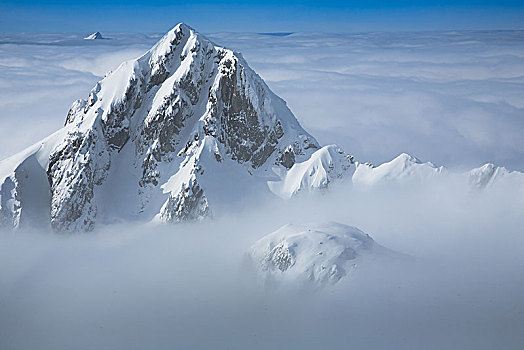 雪,顶峰,高处,云量,冬季风景,瑞士,欧洲