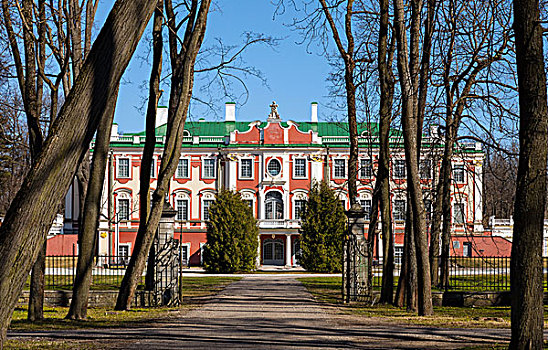 公园,树,宫殿,建筑,塔林,爱沙尼亚