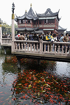 上海豫园的九曲桥和湖心亭