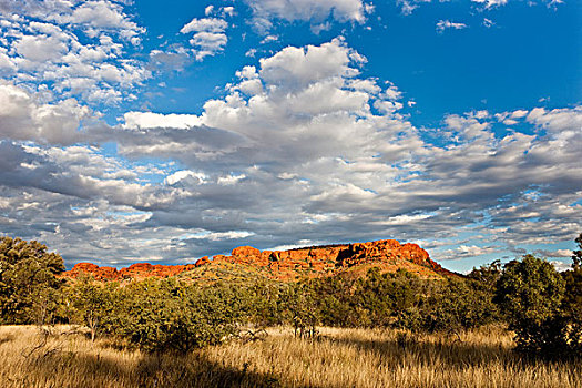 瓦特卡国家公园,北领地州,澳大利亚