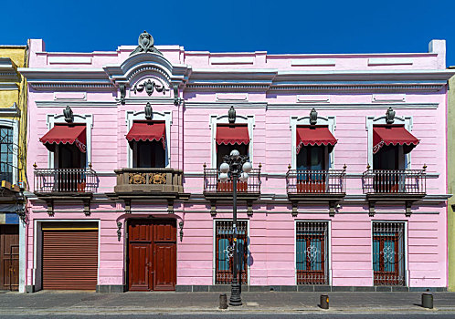 粉色,殖民地,建筑